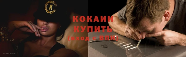 spice Новозыбков