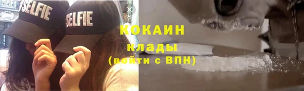 spice Новодвинск