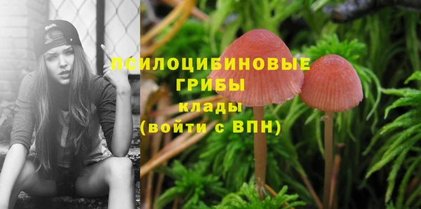 spice Новозыбков